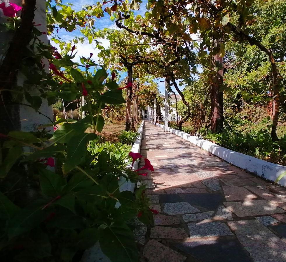 Morin Grey Casa En El Corazon De La Ribeira Sacra Villa Монфорте де Лемос Екстериор снимка