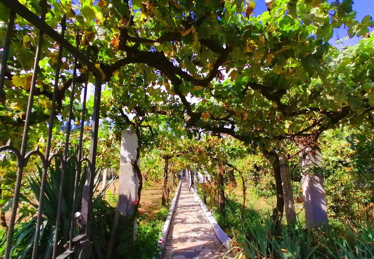 Morin Grey Casa En El Corazon De La Ribeira Sacra Villa Монфорте де Лемос Екстериор снимка