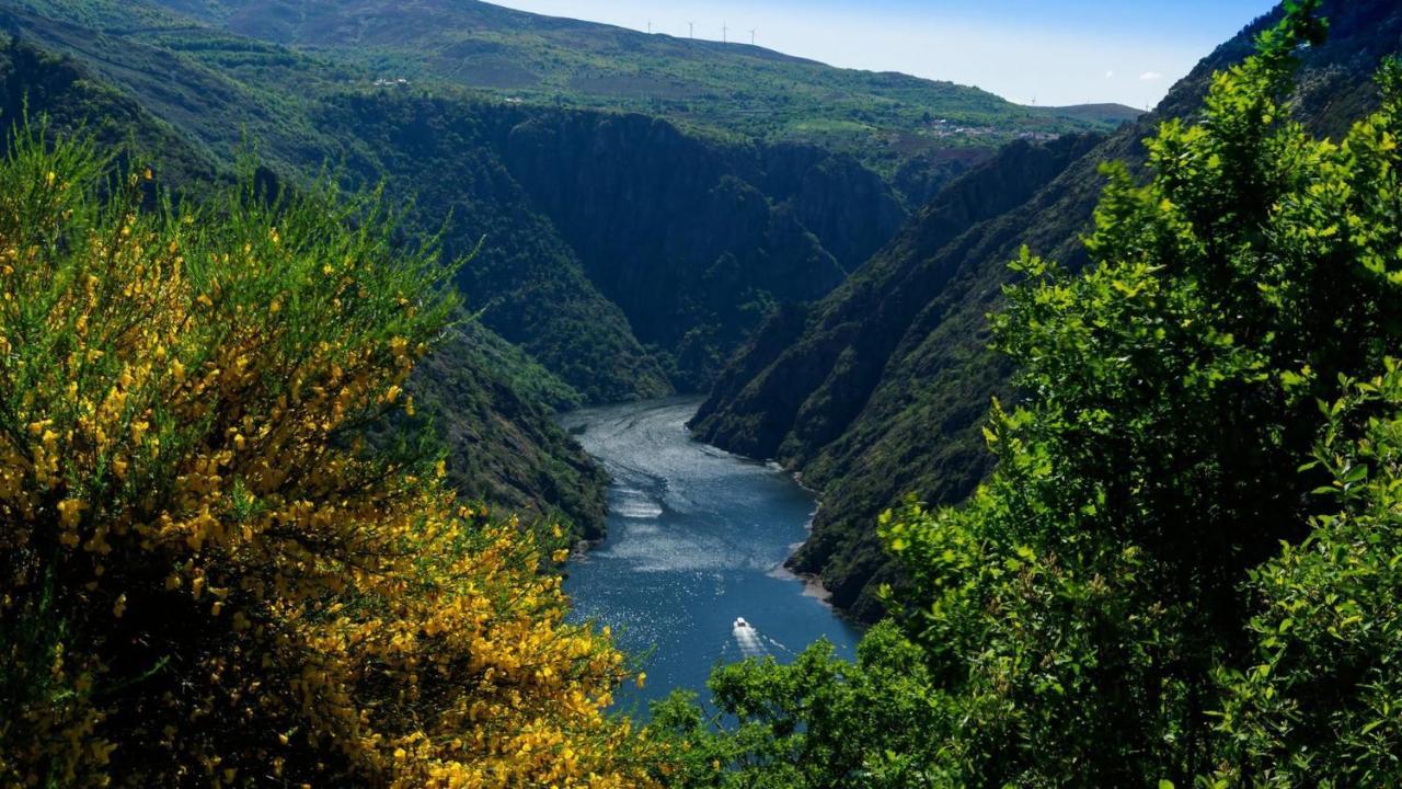 Morin Grey Casa En El Corazon De La Ribeira Sacra Villa Монфорте де Лемос Екстериор снимка