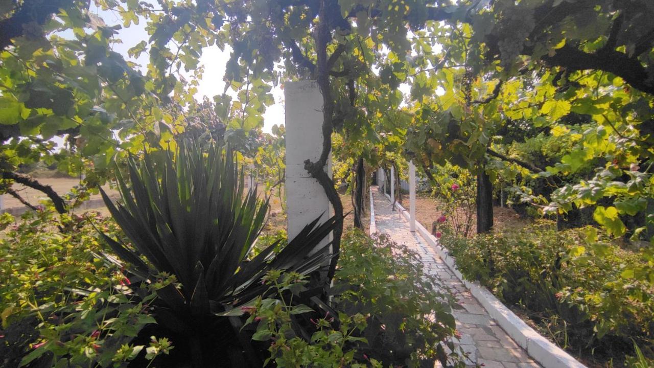 Morin Grey Casa En El Corazon De La Ribeira Sacra Villa Монфорте де Лемос Екстериор снимка