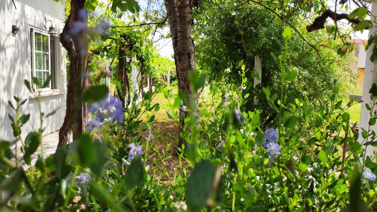 Morin Grey Casa En El Corazon De La Ribeira Sacra Villa Монфорте де Лемос Екстериор снимка