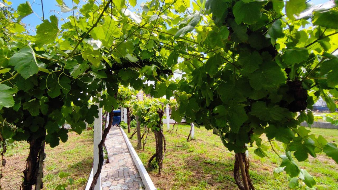 Morin Grey Casa En El Corazon De La Ribeira Sacra Villa Монфорте де Лемос Екстериор снимка