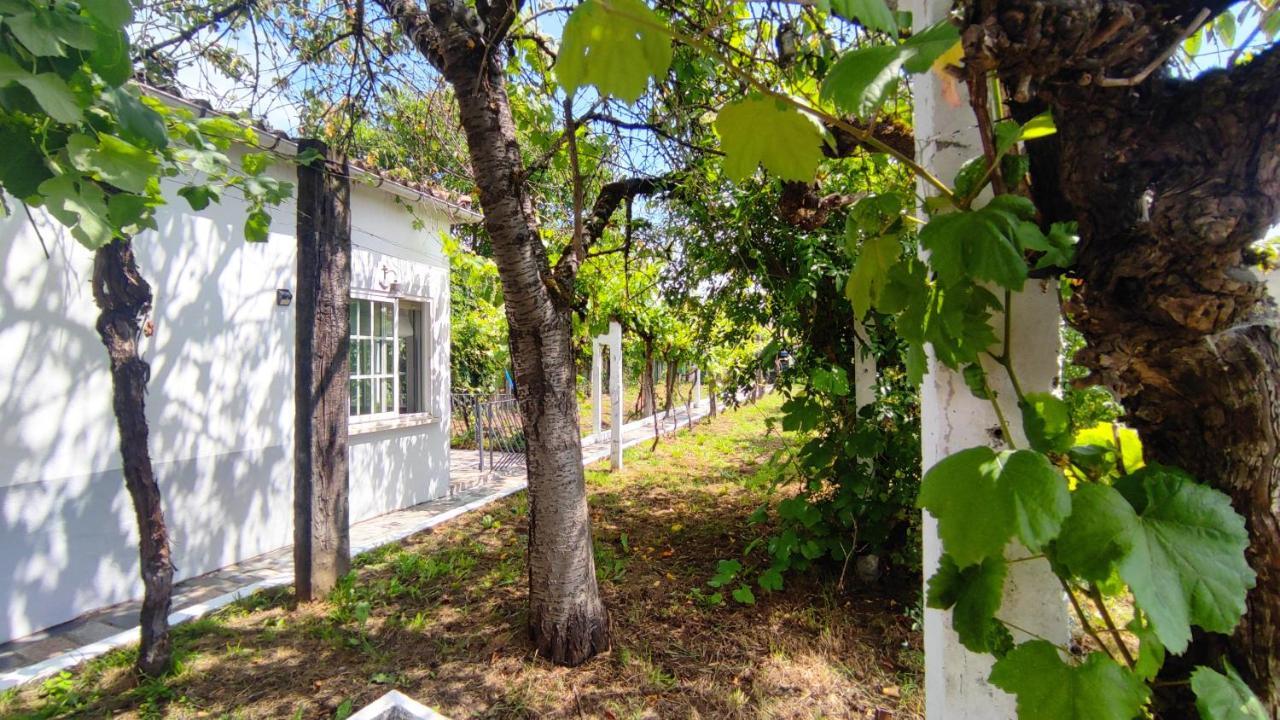 Morin Grey Casa En El Corazon De La Ribeira Sacra Villa Монфорте де Лемос Екстериор снимка