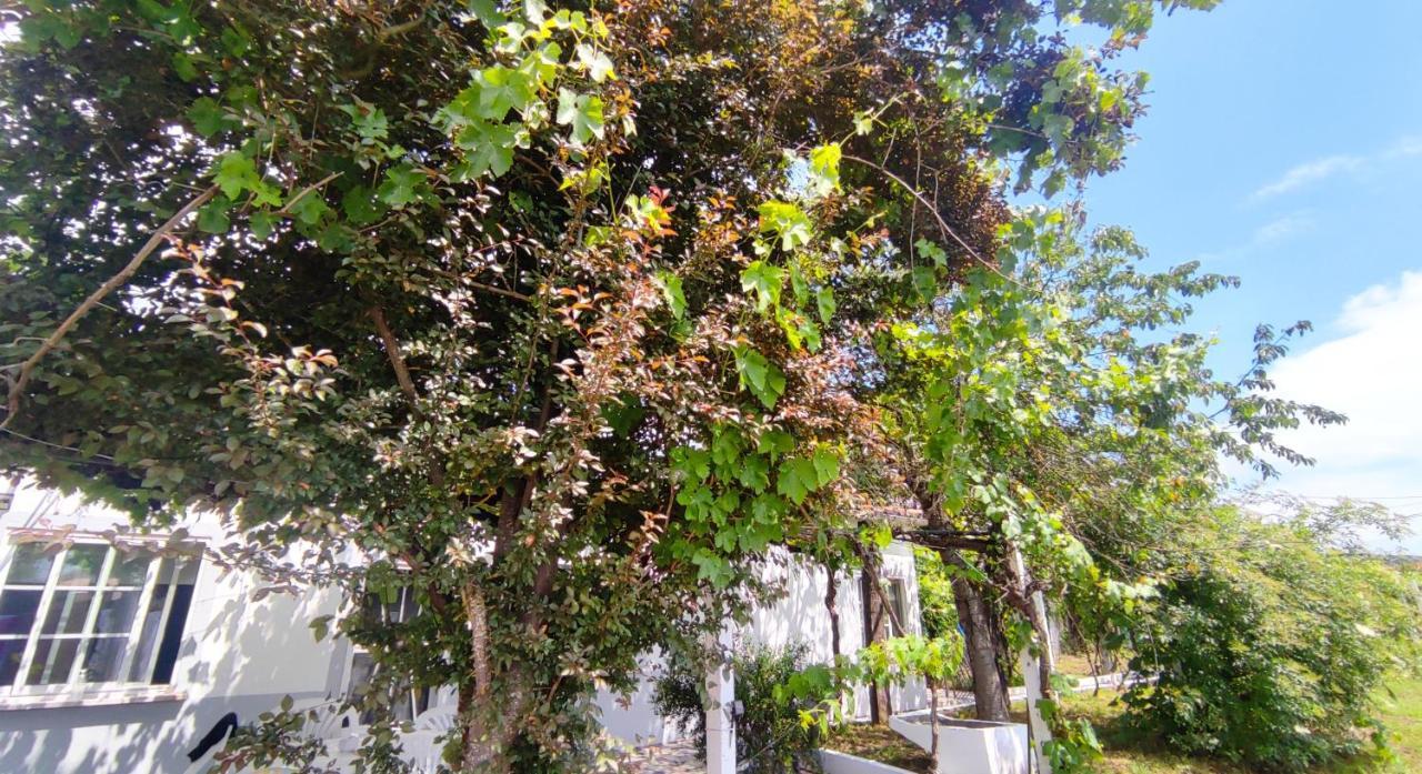 Morin Grey Casa En El Corazon De La Ribeira Sacra Villa Монфорте де Лемос Екстериор снимка
